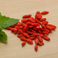 The Power of Berberine: A Natural Remedy for Respiratory Issues