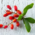 The Power of Berberine: Exploring its Anti-Inflammatory Properties