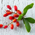 The Power of Berberine: Can it Improve Cognitive Function?
