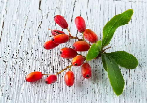 The Power of Berberine: How This Natural Compound Works in the Body